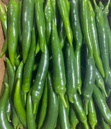 WhatsApp Image 2025-11-10 at 07.37.04