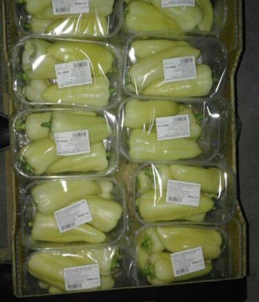 WhatsApp Image 2025-11-10 at 07.37.09