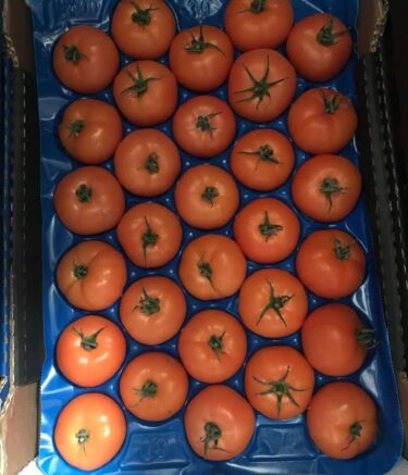 WhatsApp Image 2025-11-10 at 07.37.10