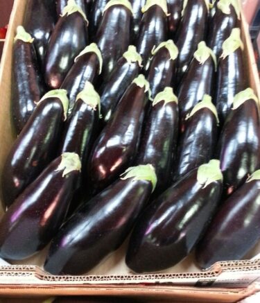 WhatsApp Image 2025-11-10 at 07.37.19