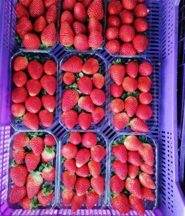 WhatsApp Image 2025-11-10 at 07.37.20