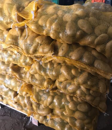 WhatsApp Image 2025-11-10 at 07.37.22