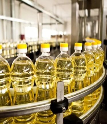 WhatsApp Image 2025-11-10 at 07.37.37